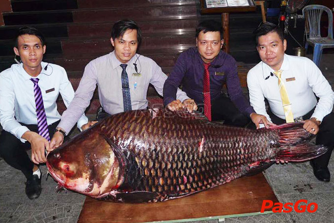 Hàng Dương Quán - Quận 1 -14