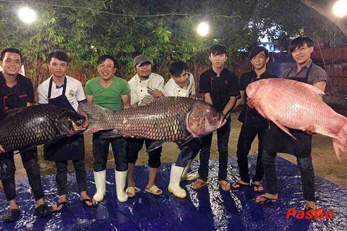Hàng Dương Quán - Quận 1 -16
