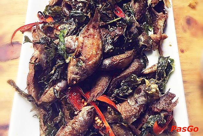 phủi quán chu văn an hà đông17
