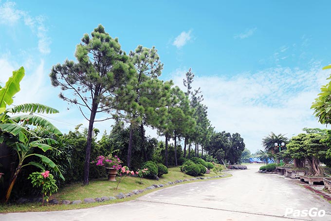 Khu du lịch sinh thái Biển Đông Long Biên 4343