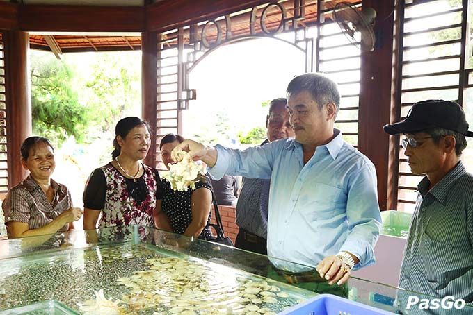 Khu du lịch sinh thái Biển Đông Long Biên 2