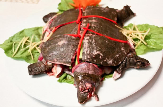 ba ba ao quê 31a nguyễn chí thanh 3