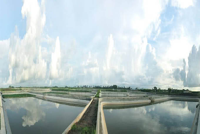 nhà hàng ba ba ao quê 129 thái thịnh 4