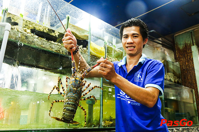 Hải Sản Biển Đông 8 – Phổ Quang-17
