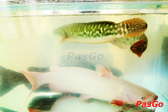 nhà hàng lộc xuân quán liễu giai - 23