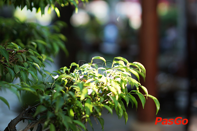 Phố Cổ Cafe and Restaurant Lê Đại Hành - 18