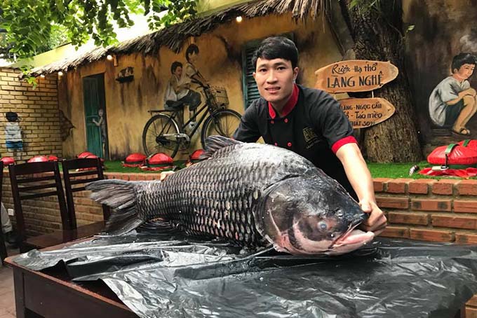 top 10 nhà hàng tổ chức, đặt tiệc Quốc Khánh 2/9 lý tưởng ở Đà Nẵng - 10