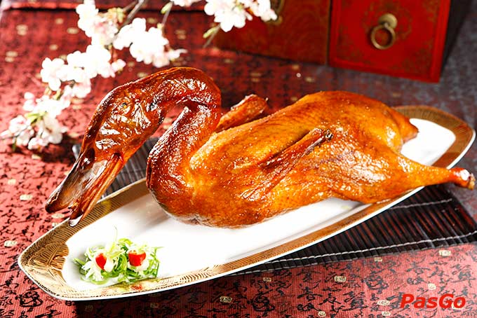 Tân Hải Vân - Nguyễn Trãi-13