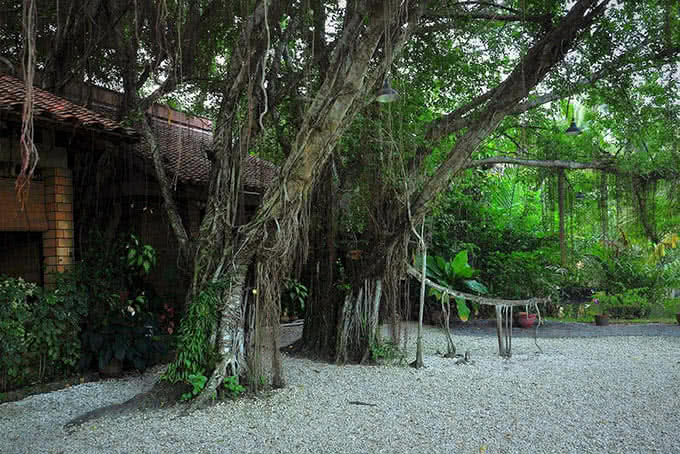 buffet khu du lịch bình quới 1 13
