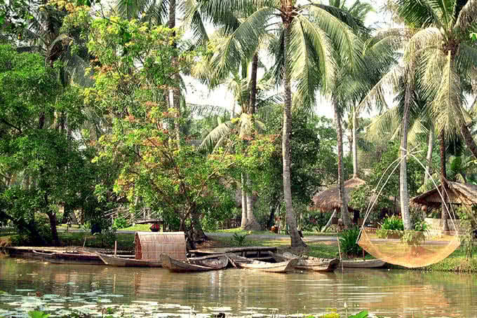 buffet khu du lịch bình quới 1 4