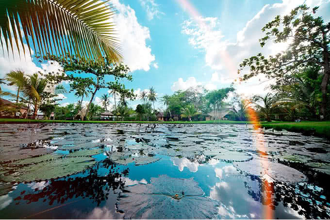 buffet khu du lịch bình quới 2 6