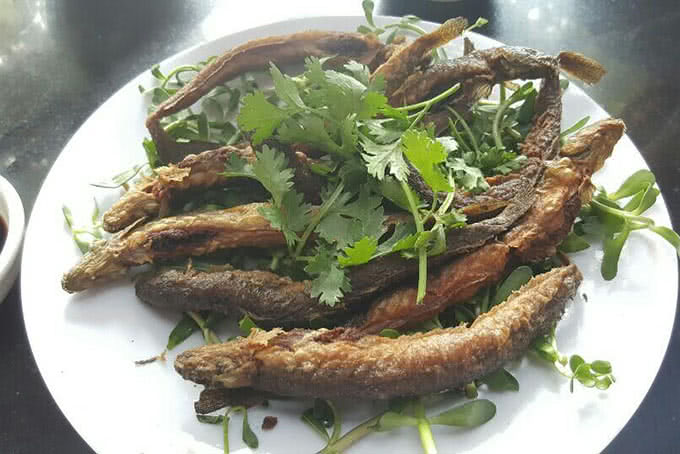 nhà hàng lẩu cá kèo bà huyện 7