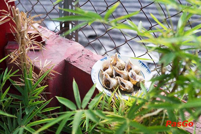 Ốc Chị Em - Công Trường Quốc Tế