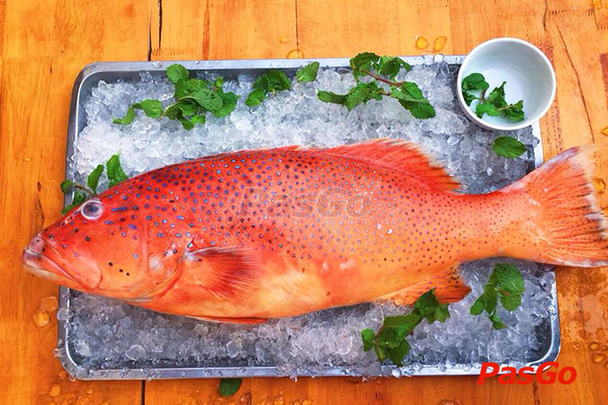 Con Cò Trần Bình Trọng 10