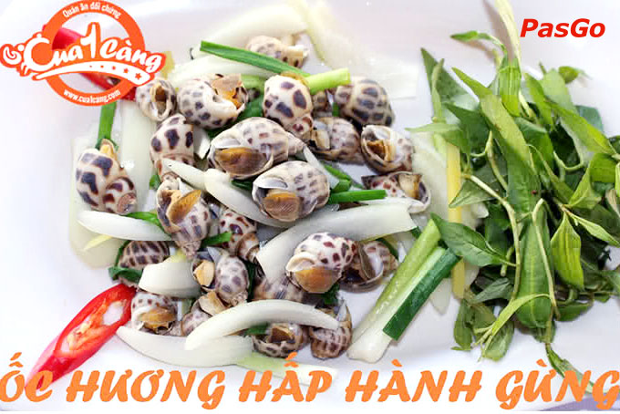 cua đối chứng nguyễn oanh 13