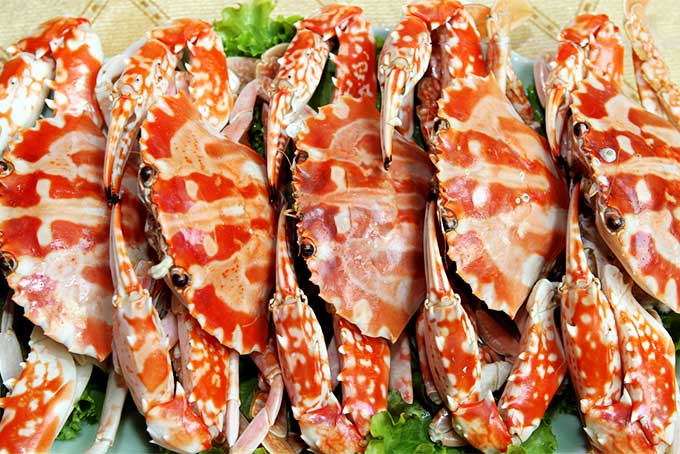 Hải Sản Nhà Tôi - Nguyễn Văn Tuyết-9