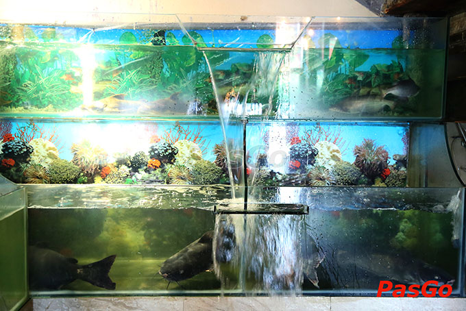 nhà hàng quán cá đường láng 5