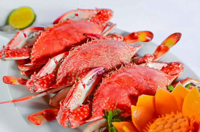 nhà hàng 63 cao thắng 16